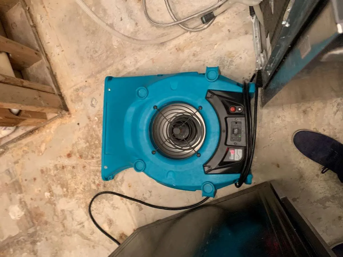 Air mover drying equipment for Mold Remediation & Removal in Easley